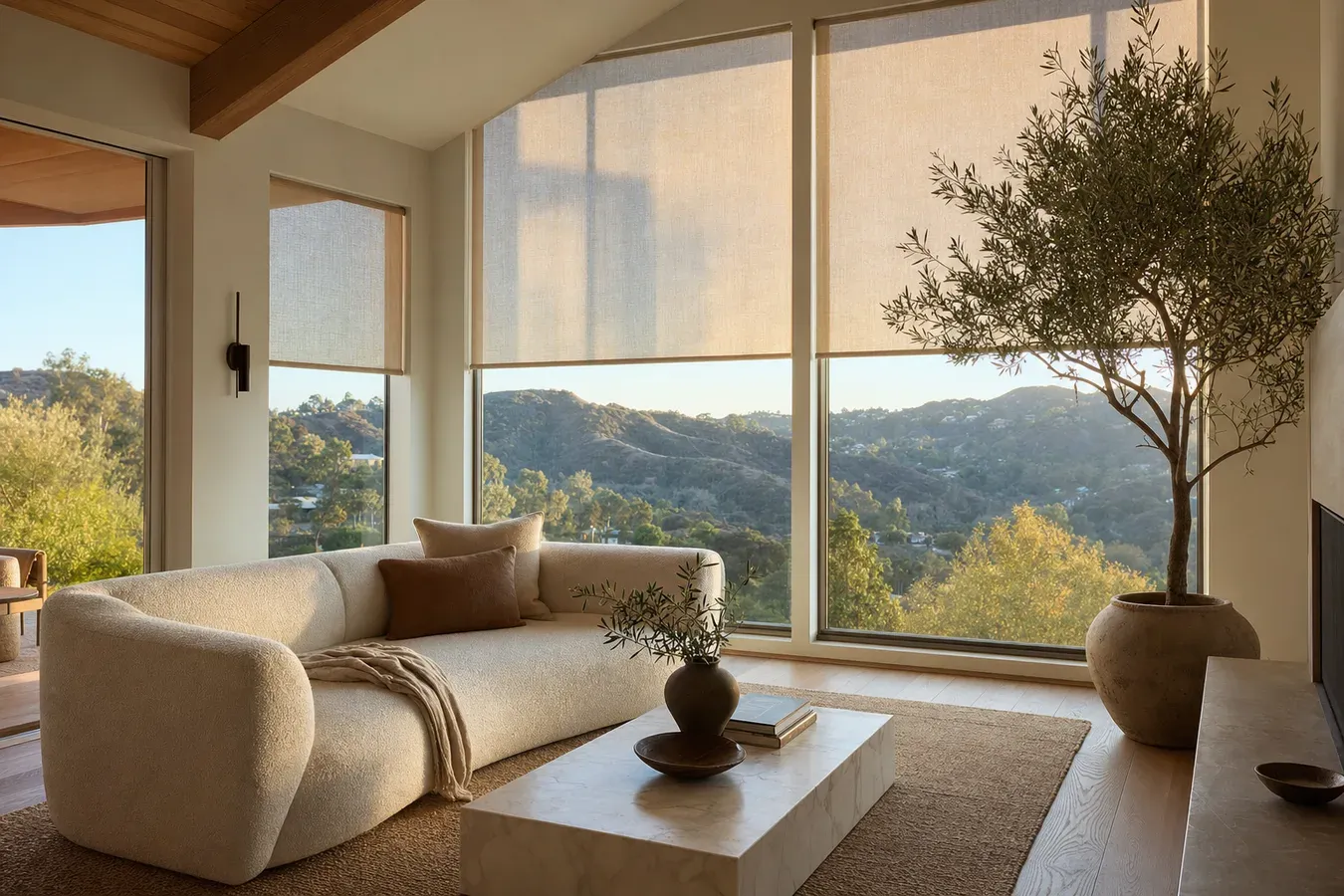 Window Shades